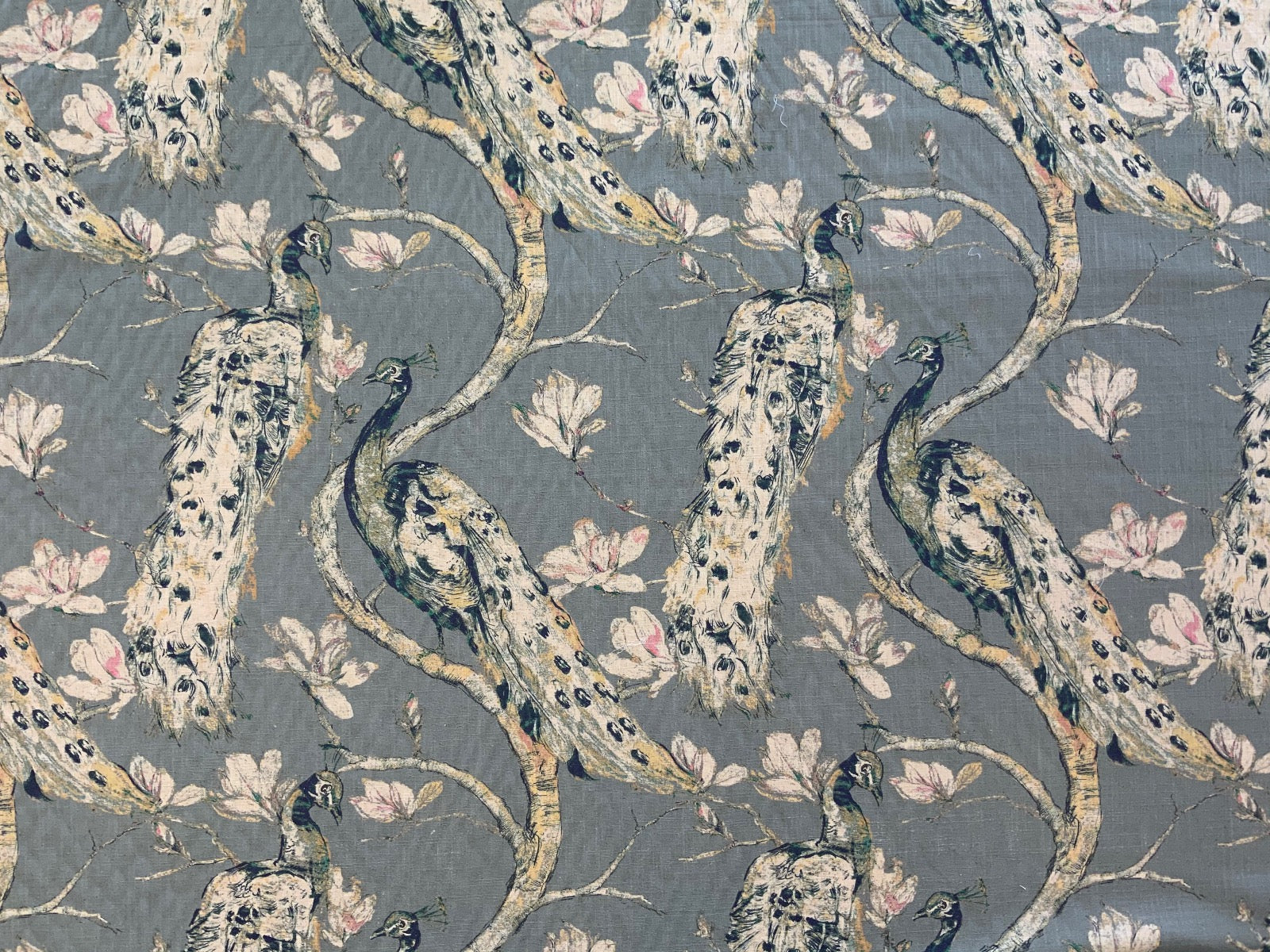 Prestigious Richmond Denim