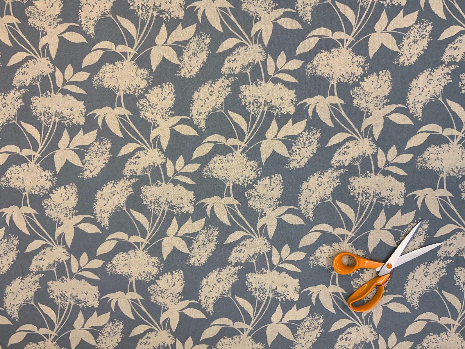 S184 Elderflower Blue