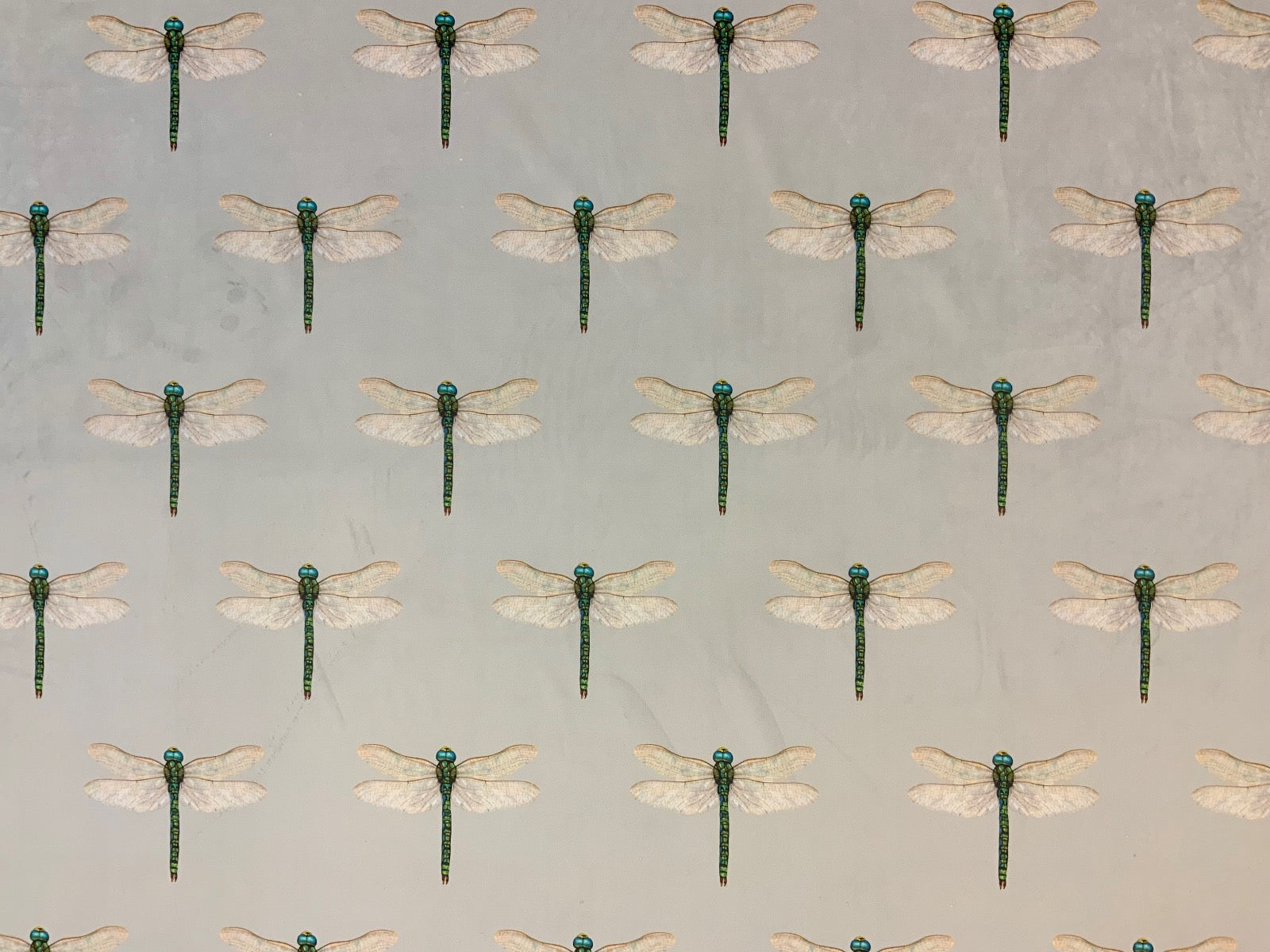 Tex Ex 2554 Dragonfly Collector Velvet Pebble