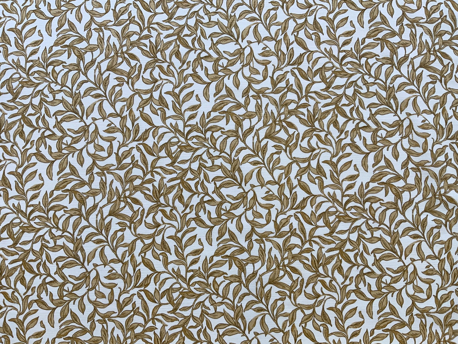 Clarke & Clarke Entwistle Gold