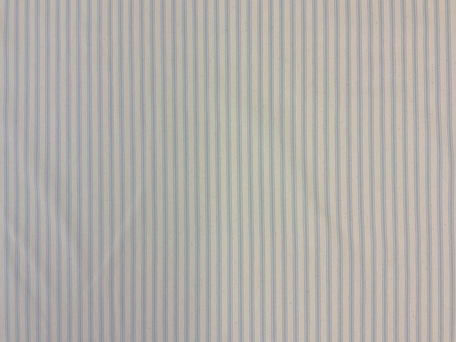 S198 French Woven Ticking Powder Blue