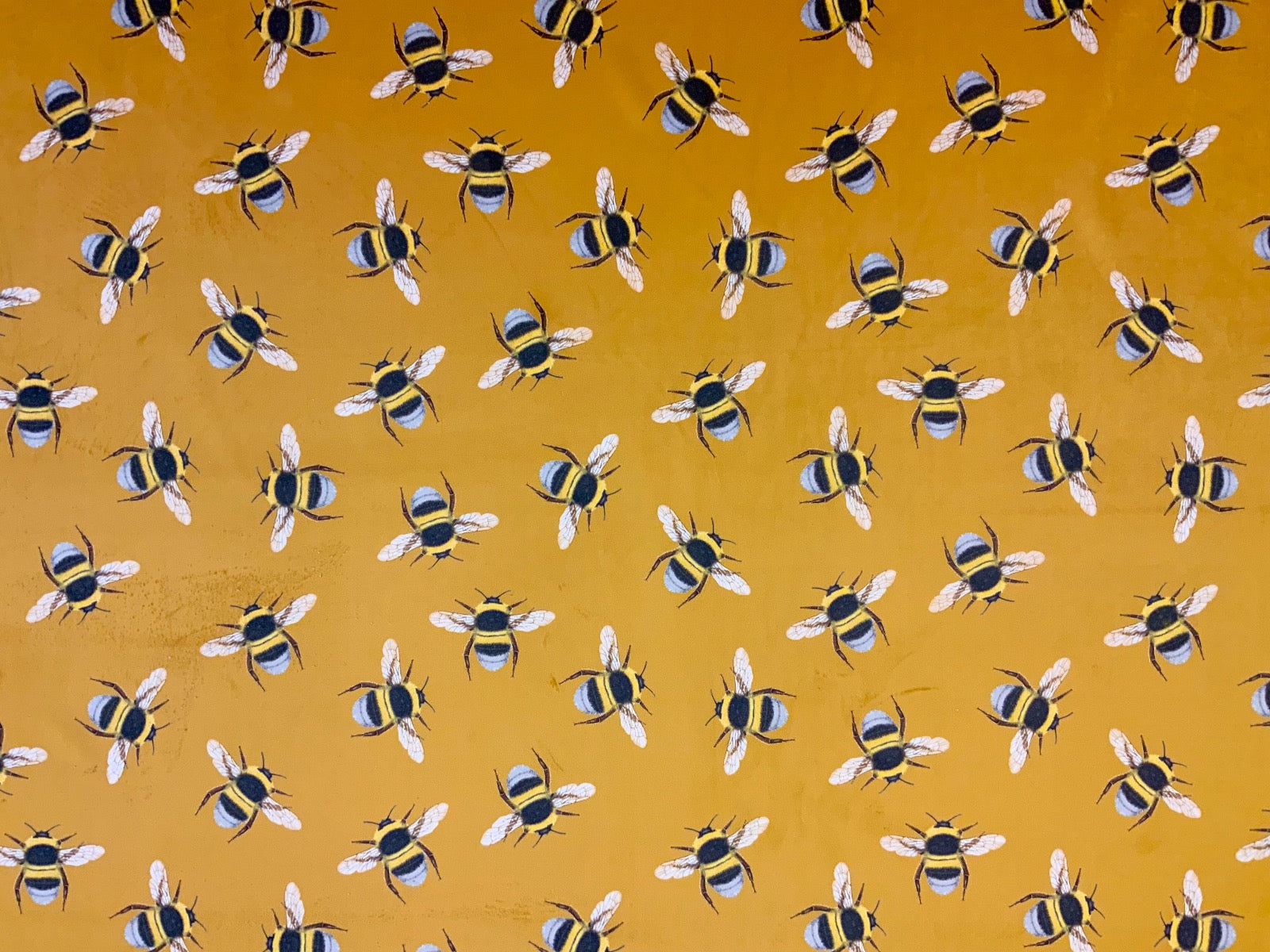 Tex Ex 2552 Bee Swarm Velvet Honey | Buy Fabric Online | Textile Express