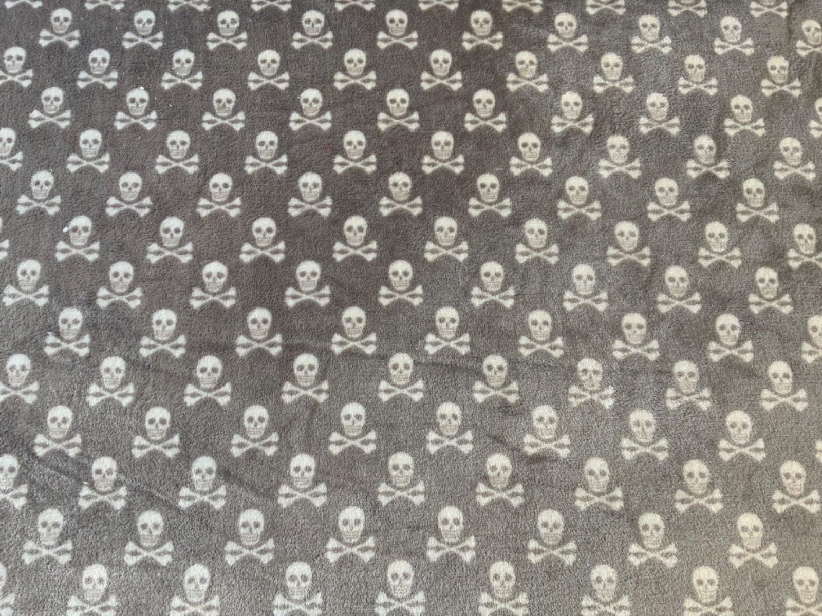 I447 Skull Cuddle Fleece Grey