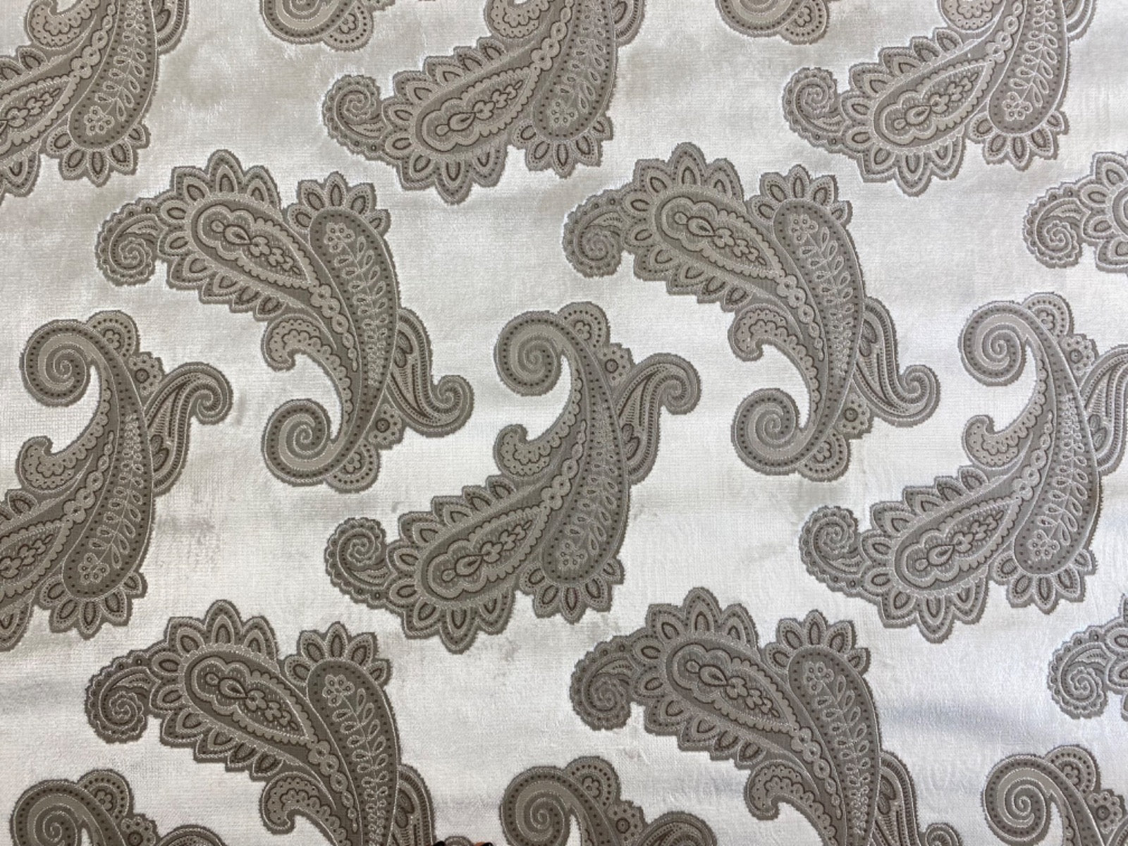 Tex Ex 2707 FR White Cut Paisley Velvet