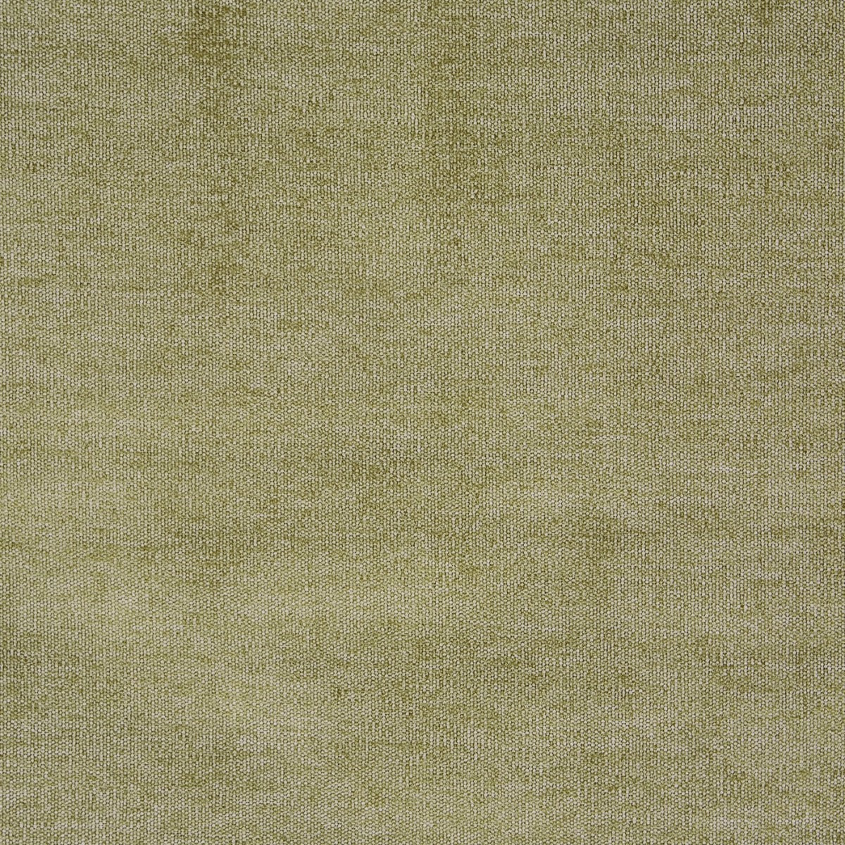Prestigious Bravo Willow