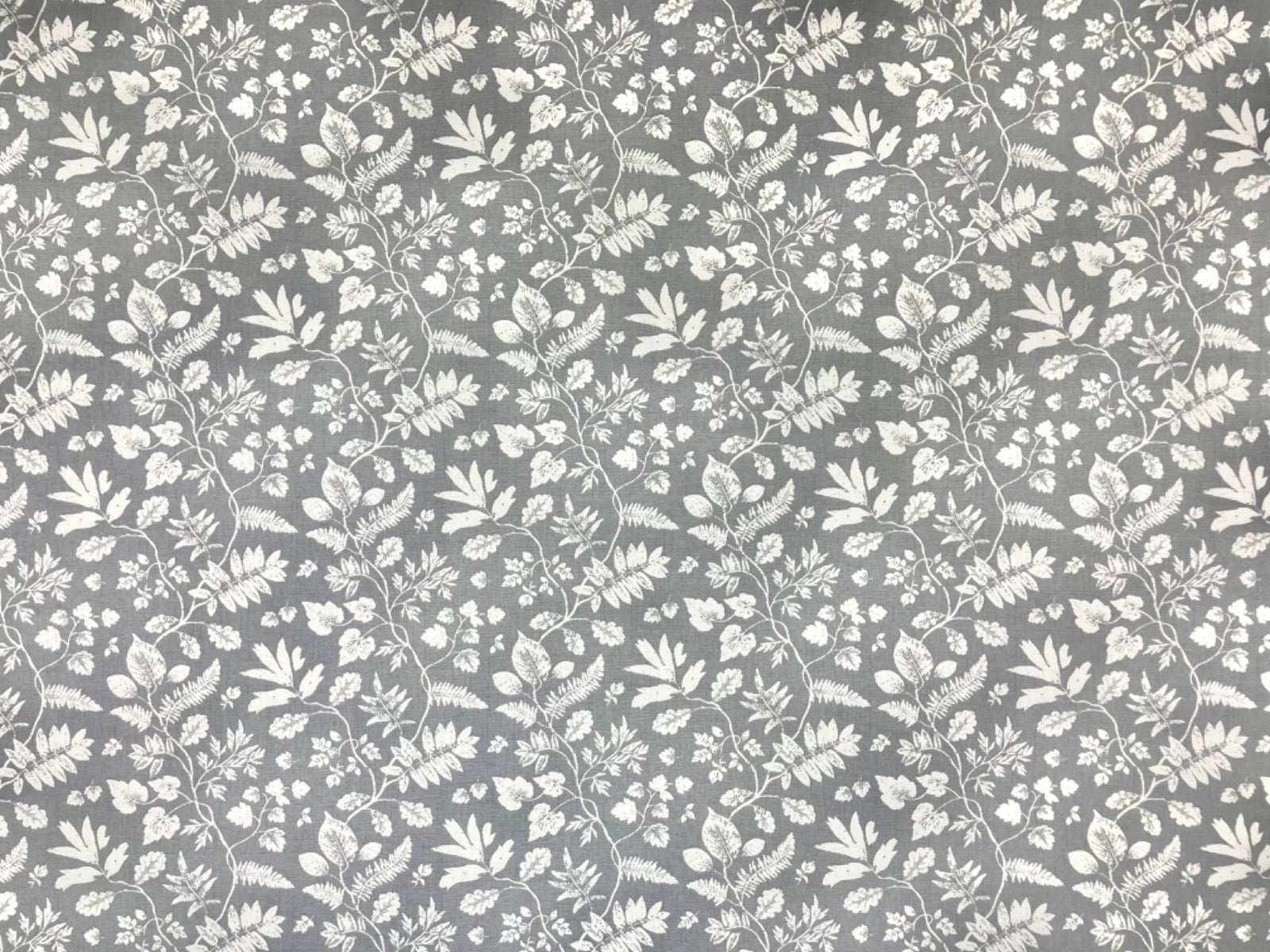 Clarke & Clarke Bellever Graphite