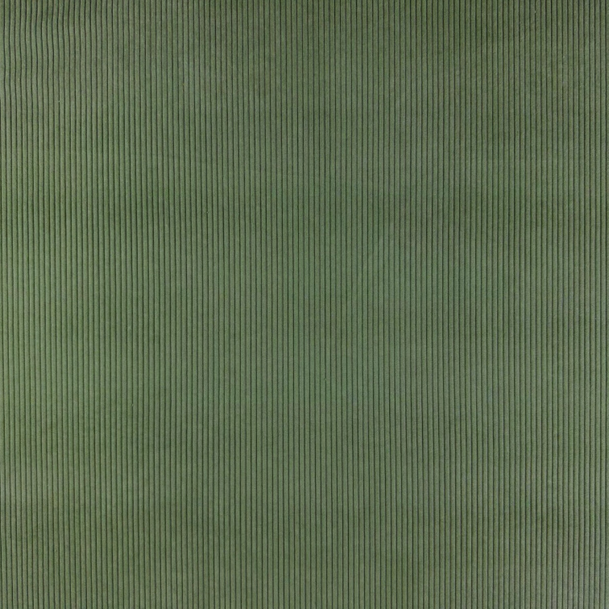 Chunky 5 Wale Upholstery Corduroy Sage H336 Fabric Flat Lay