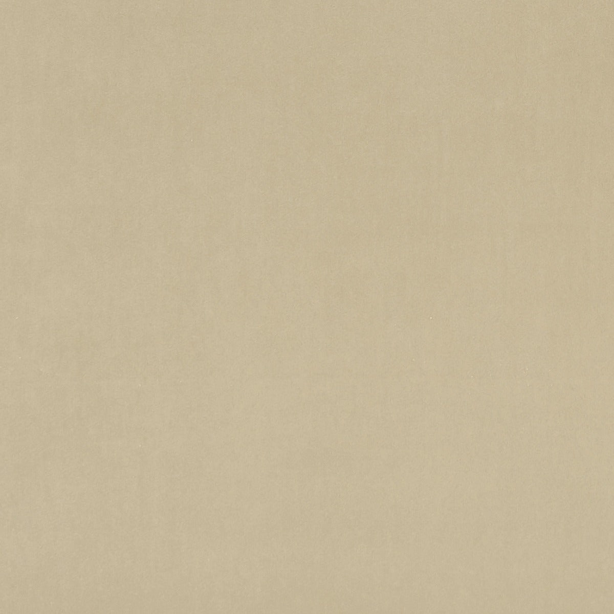 clarke and Clarke alvar mole velvet curtain and upholstery fabric 