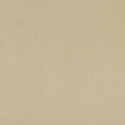clarke and Clarke alvar mole velvet curtain and upholstery fabric 