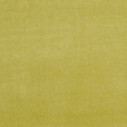 clarke and Clarke alvar olive