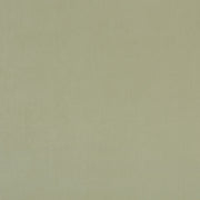 clarke and Clarke alvar thyme velvet curtain and upholstery fabric 