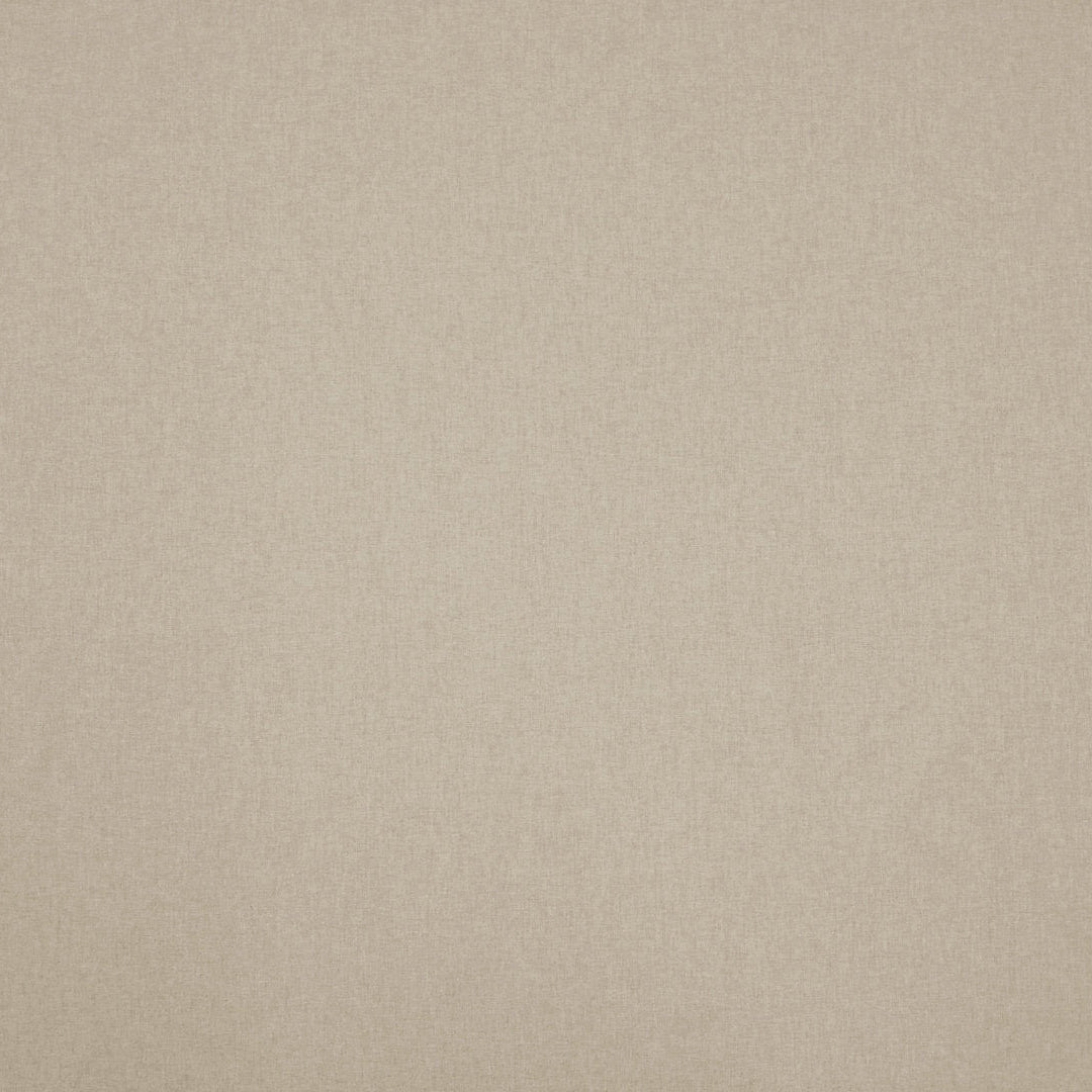 clarke and Clarke highlander bone closeup