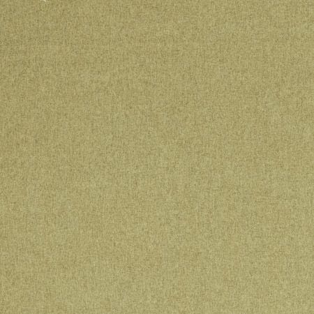 clarke and Clarke highlander fern fabric close up 