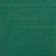 Clarke and Clarke highlander glade green fabric swatch