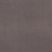 clarke and clarke alvar mink velvet curtain and upholstery fabric 