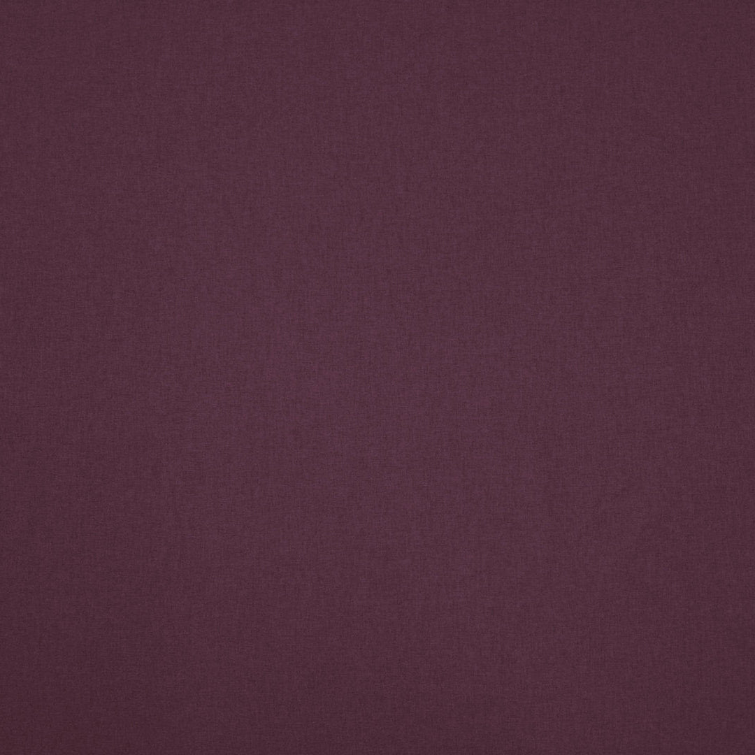 clarke and Clarke highlander berry lose up