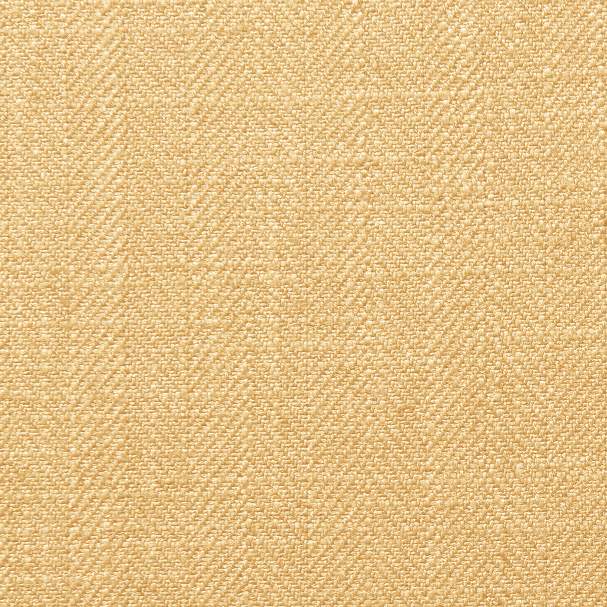 Clarke & Clarke Henley Honey Fabric Swatch