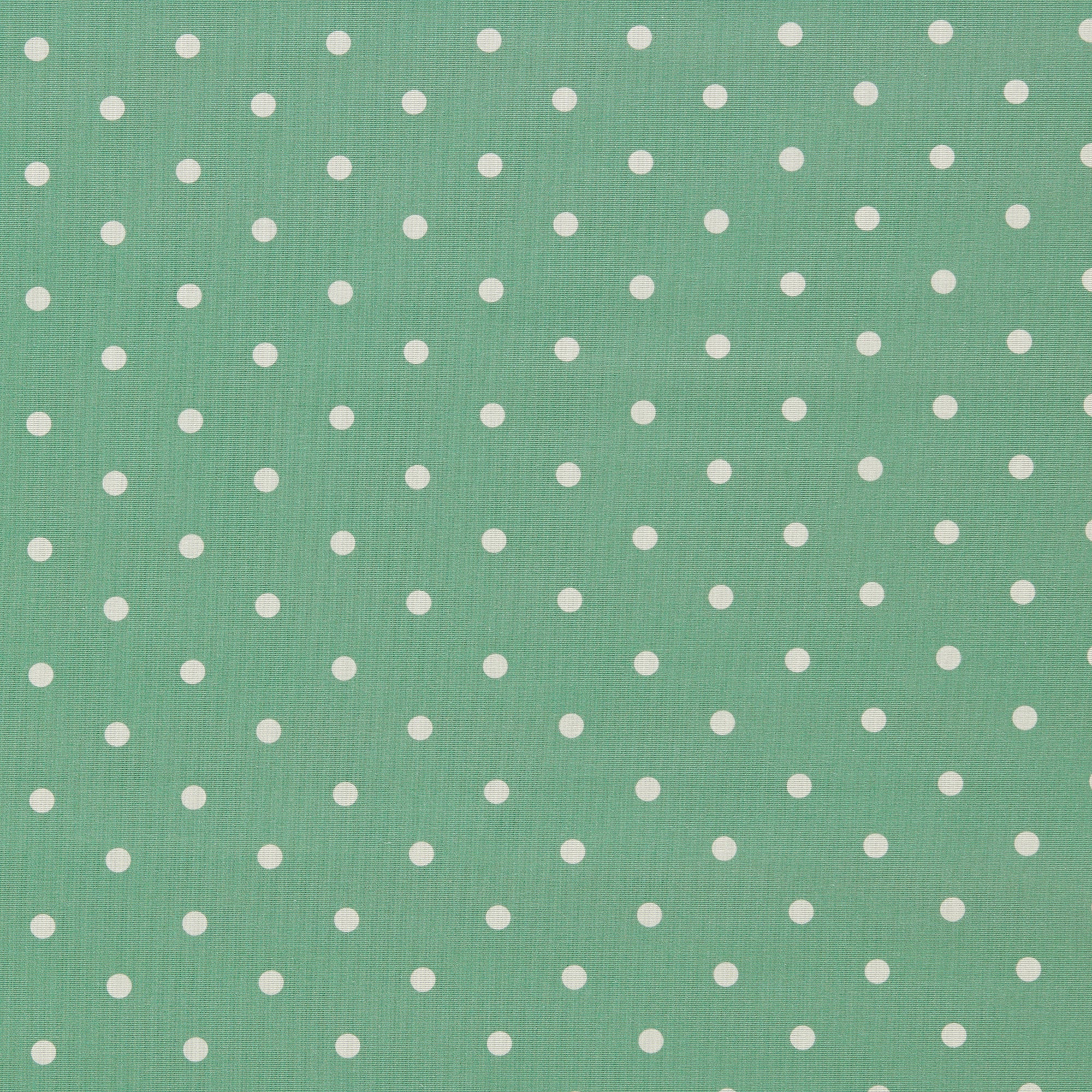 Clarke & Clarke Dotty Jade