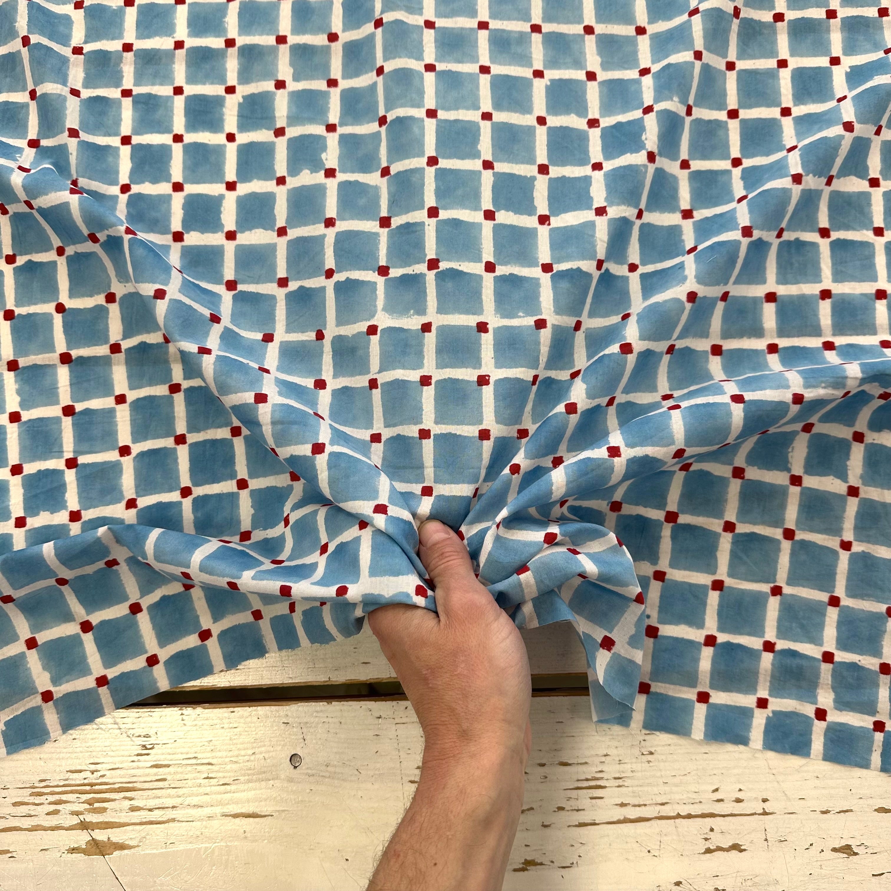 Squares Check Block Print Blue Tex Ex 2990