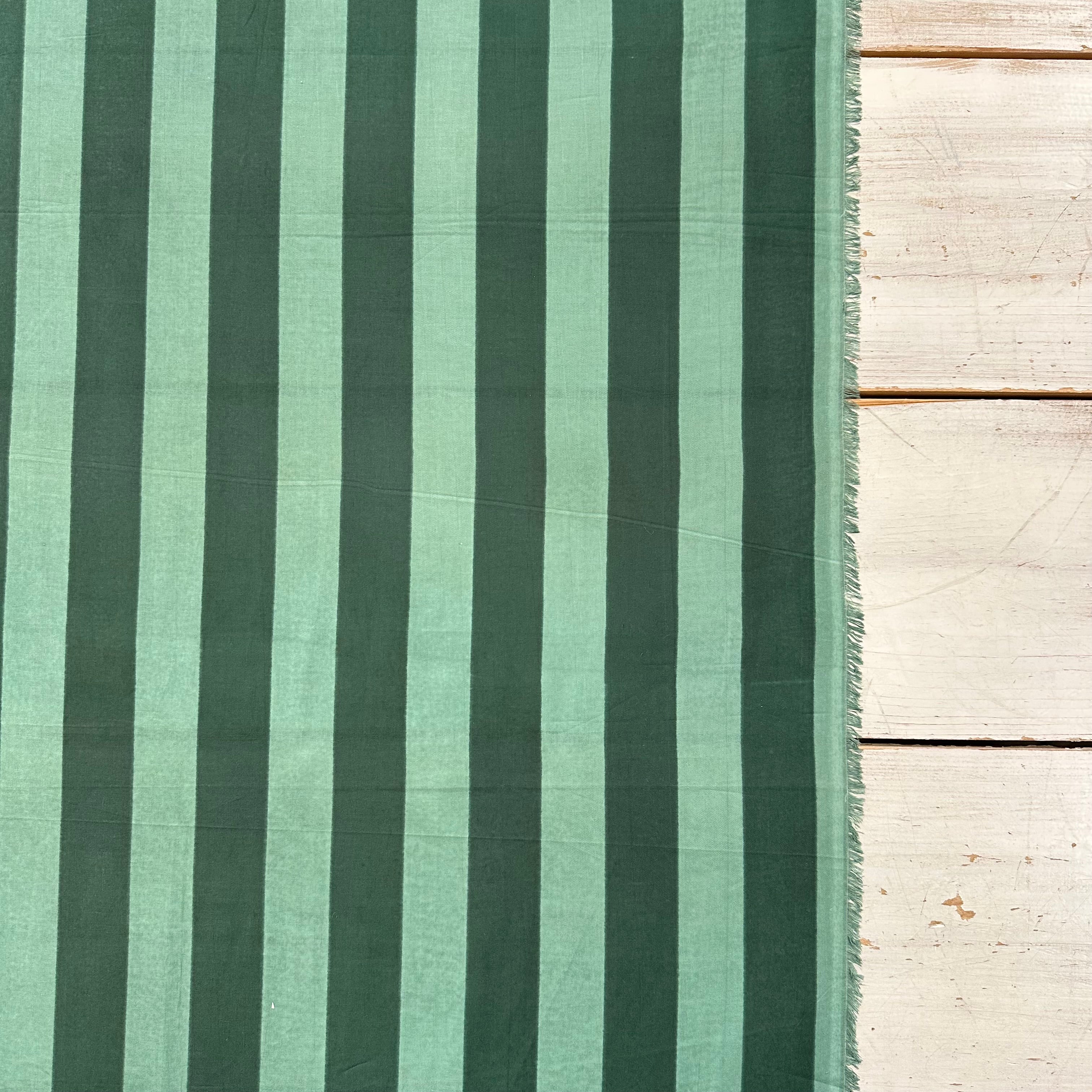 Forest Stripe Indian Print Tex Ex 2955