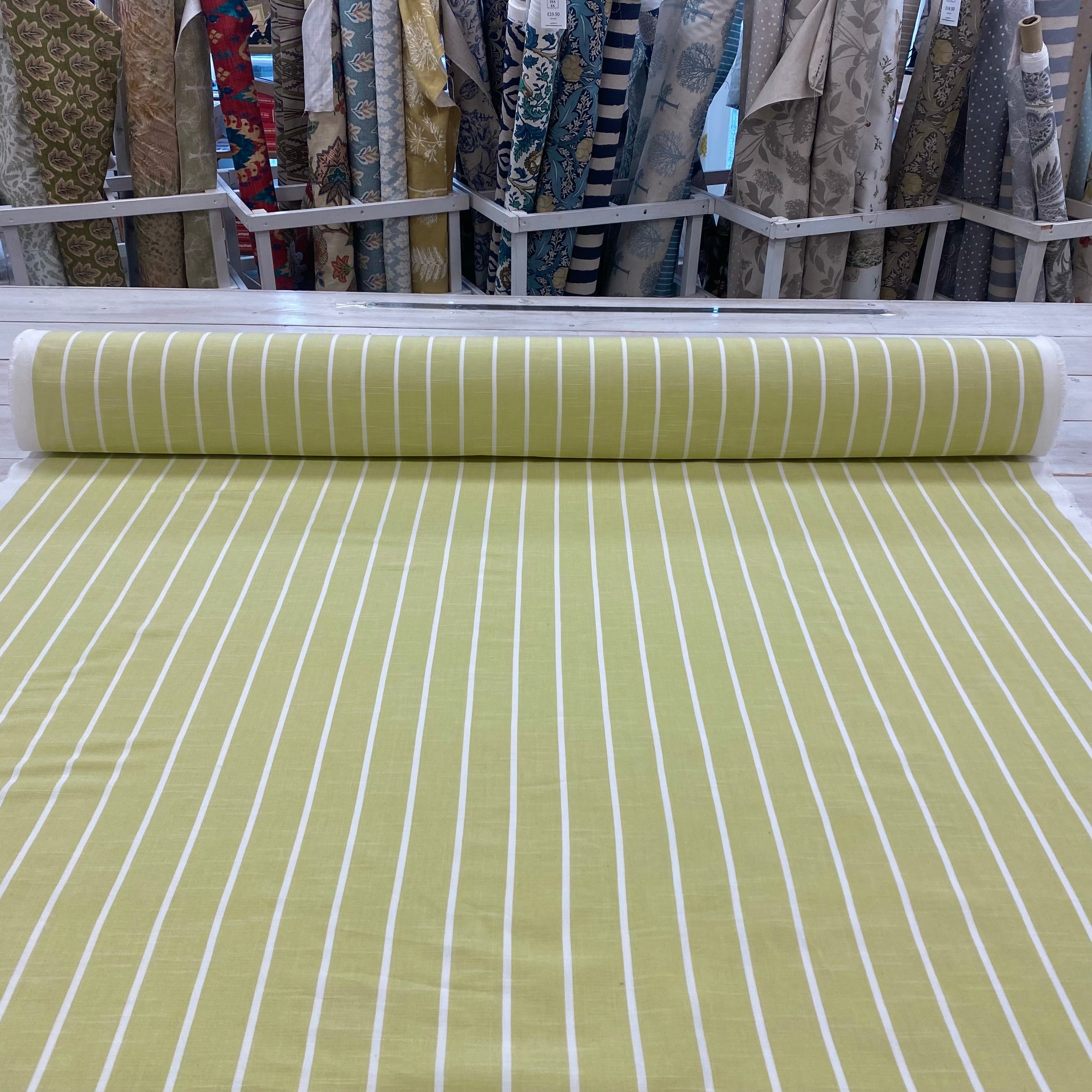 Citrus Darcy woven cotton stripe Tex ex 2923
