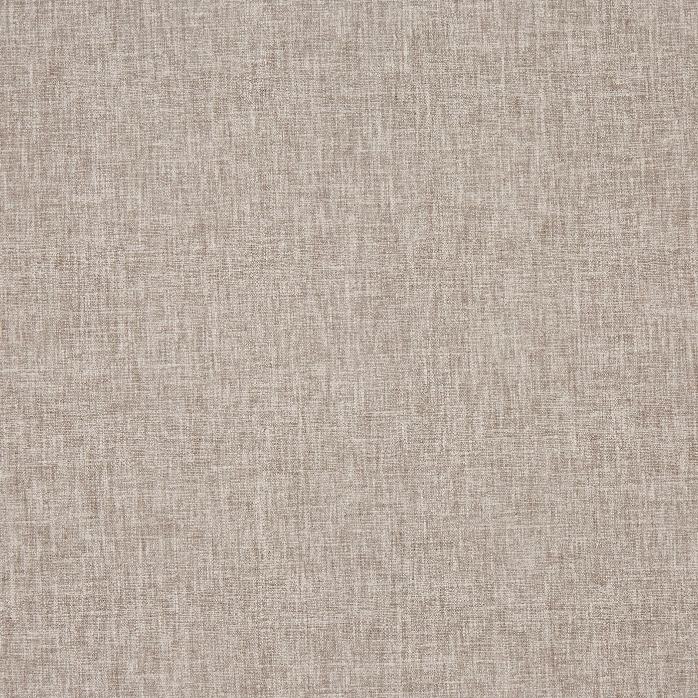 Prestigious Iceland Fawn