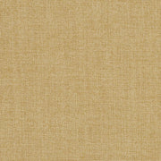 Prestigious Saxon Barley Fabric Swatch