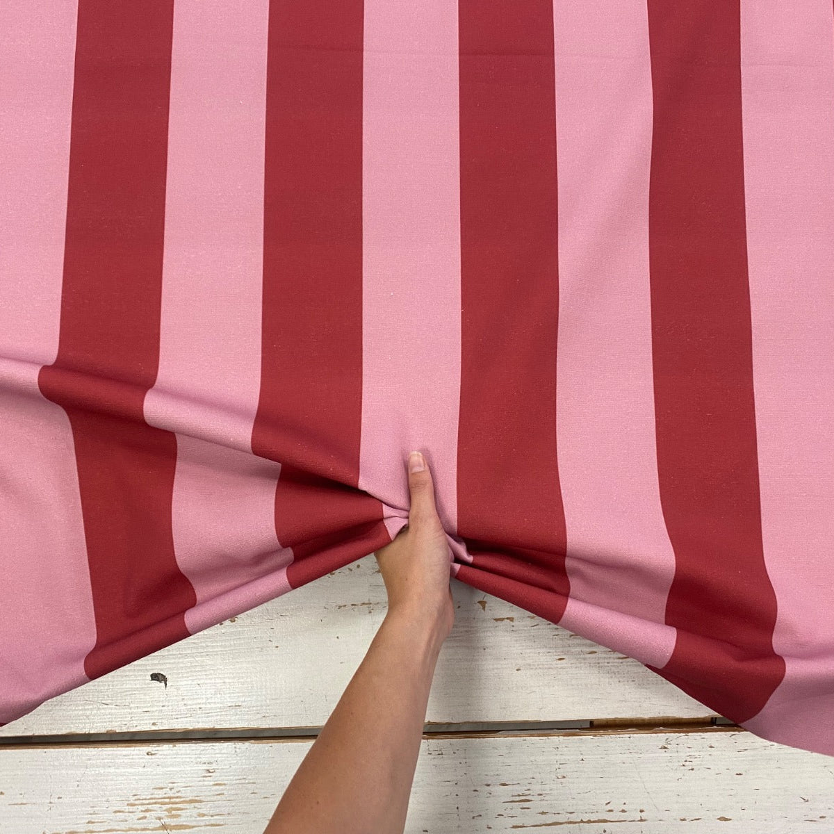 The bold stripe berry s228 scale image