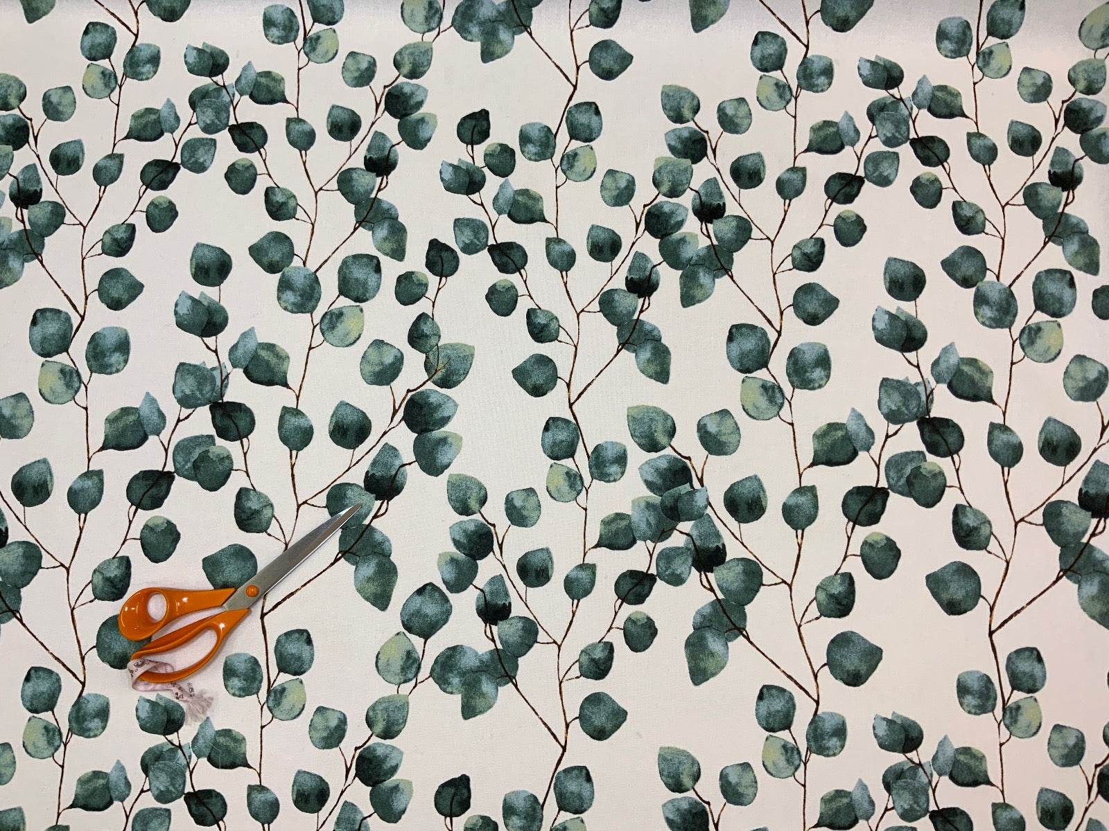 T383 Trailing Eucalyptus Ivory