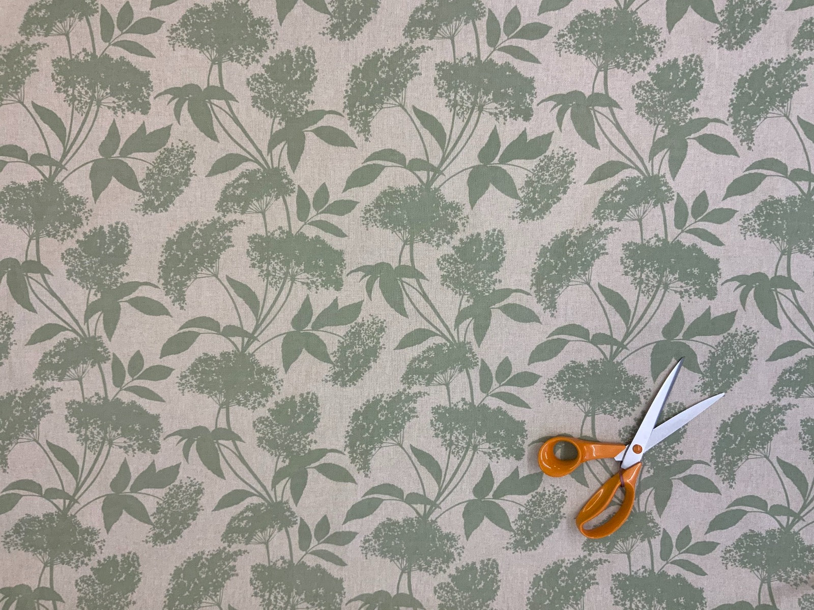 S183 Elderflower Sage