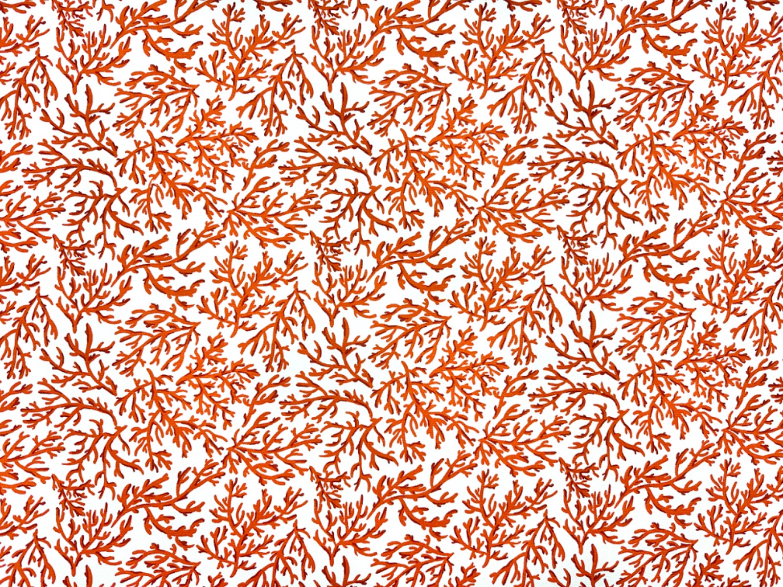 Clarke & Clarke Seabed Coral