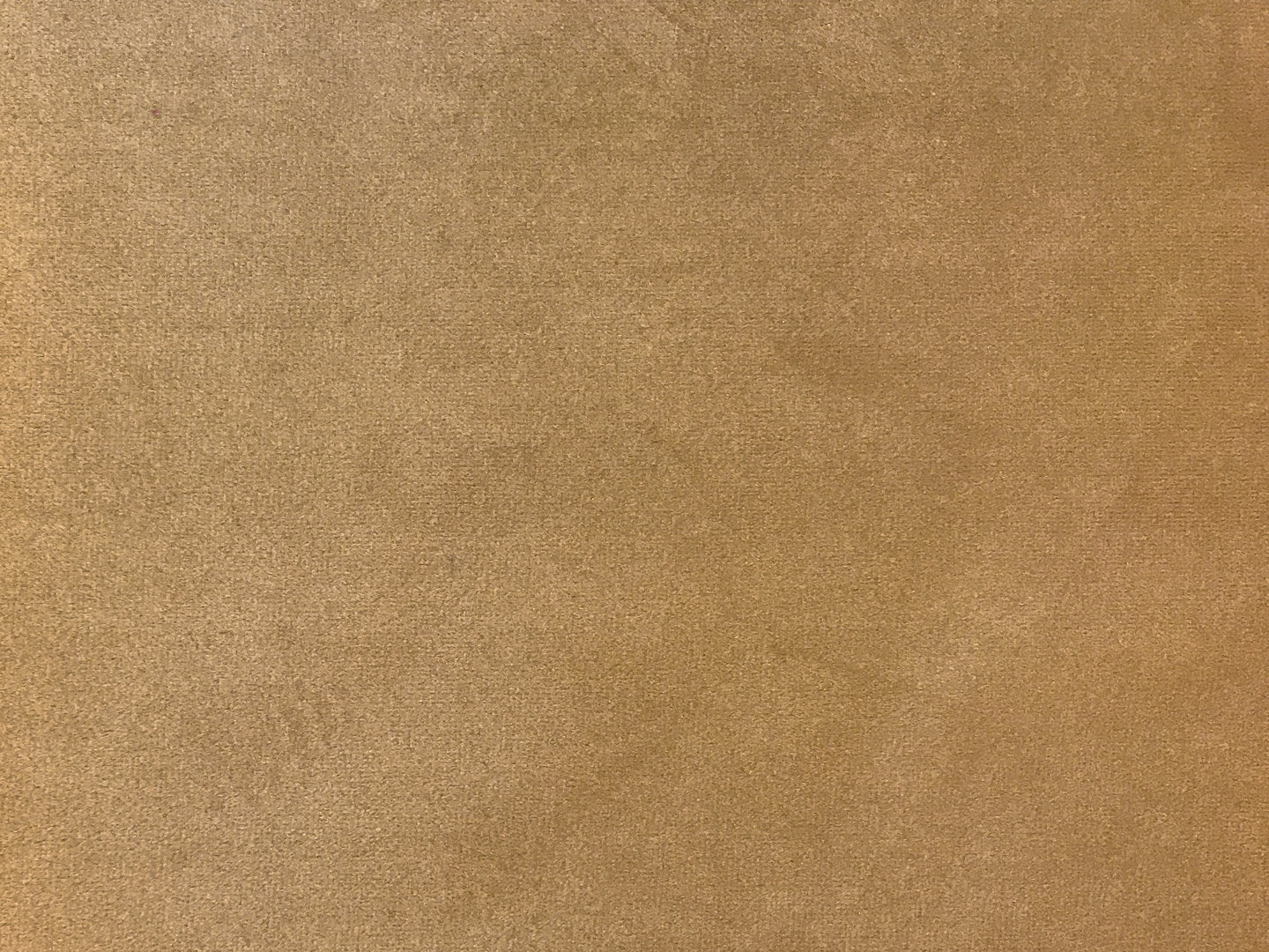 Clarke & Clarke Alvar Ochre