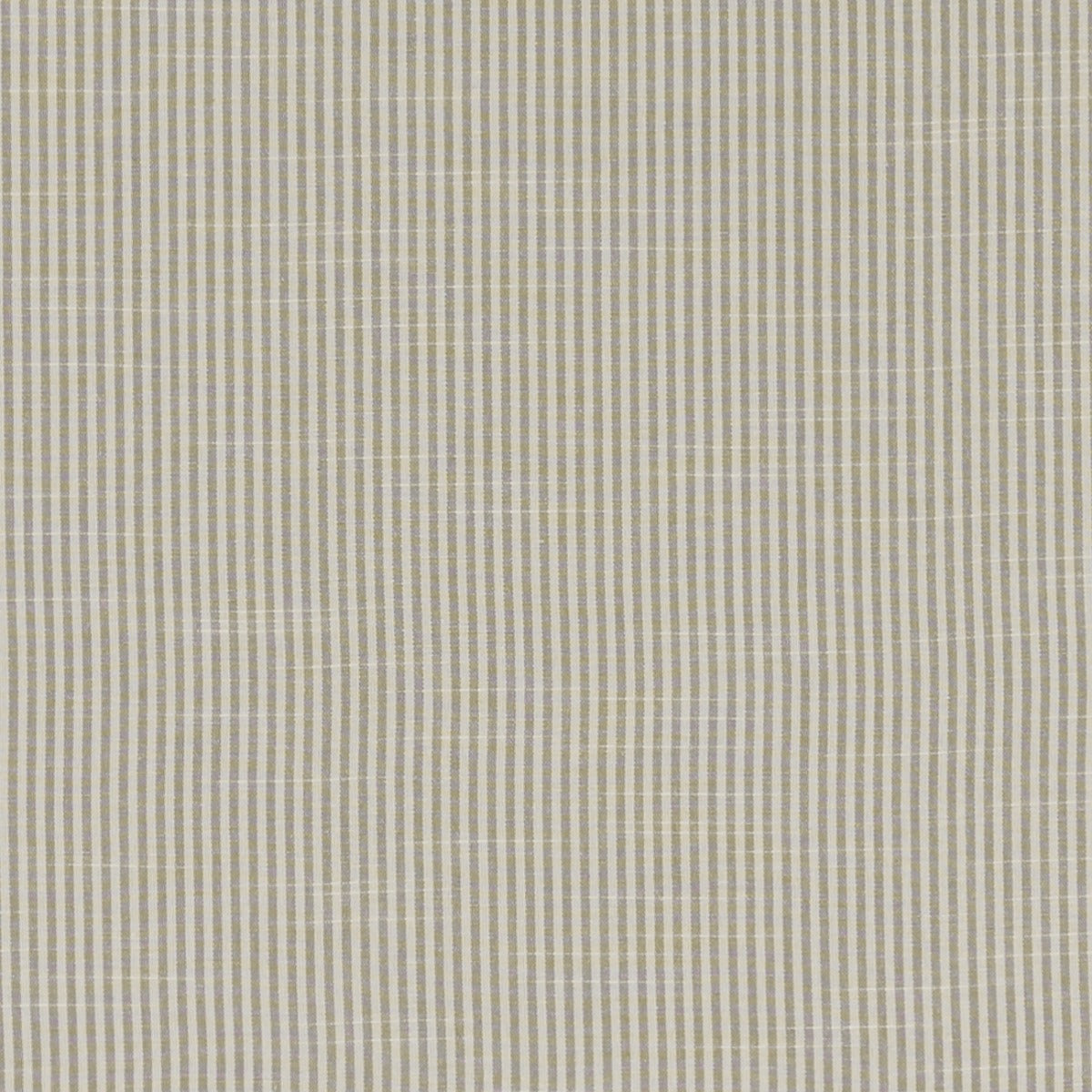 Clarke & Clarke Bempton Grey