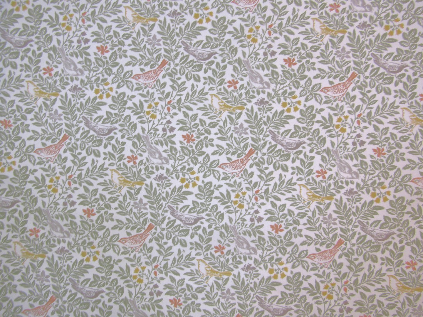 Clarke & Clarke Bird Song Autumn