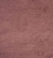 Prestigious Bravo Dark Rose
