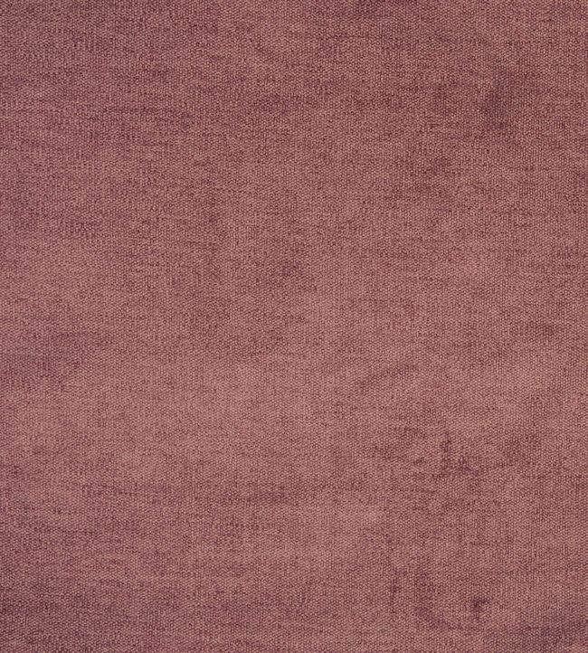 Prestigious Bravo Dark Rose