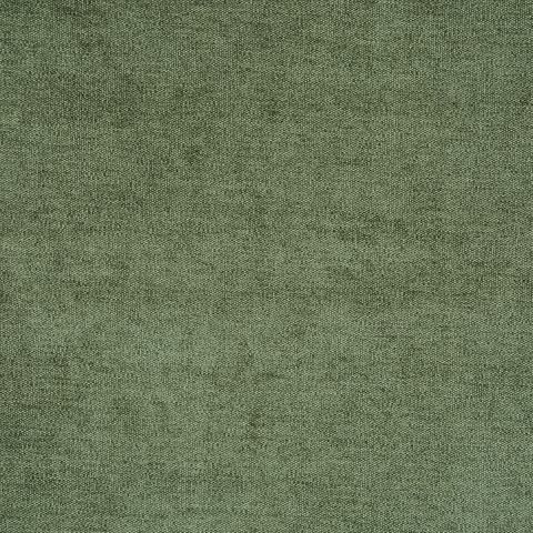 Prestigious Bravo Eucalyptus