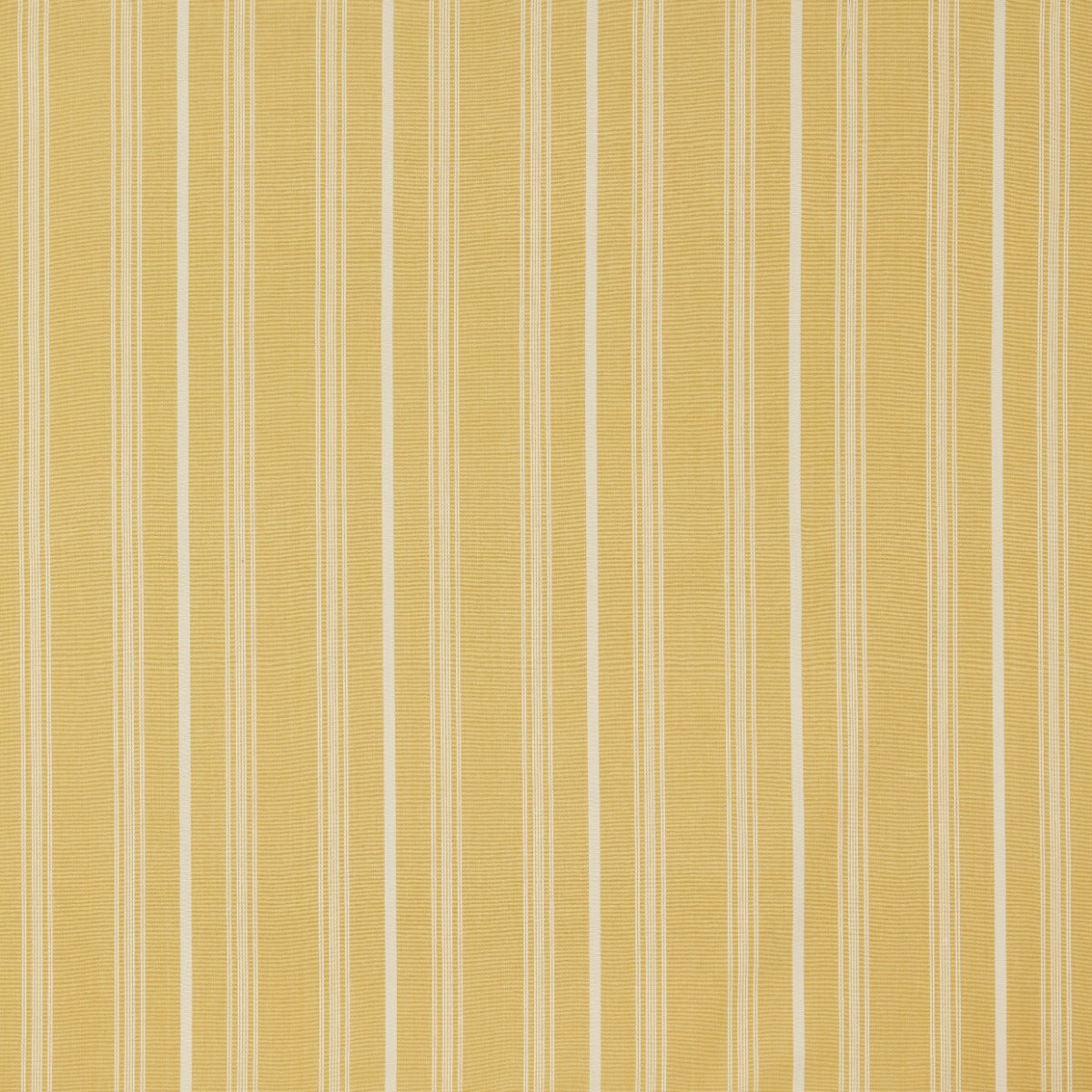 iLiv Breton Barley