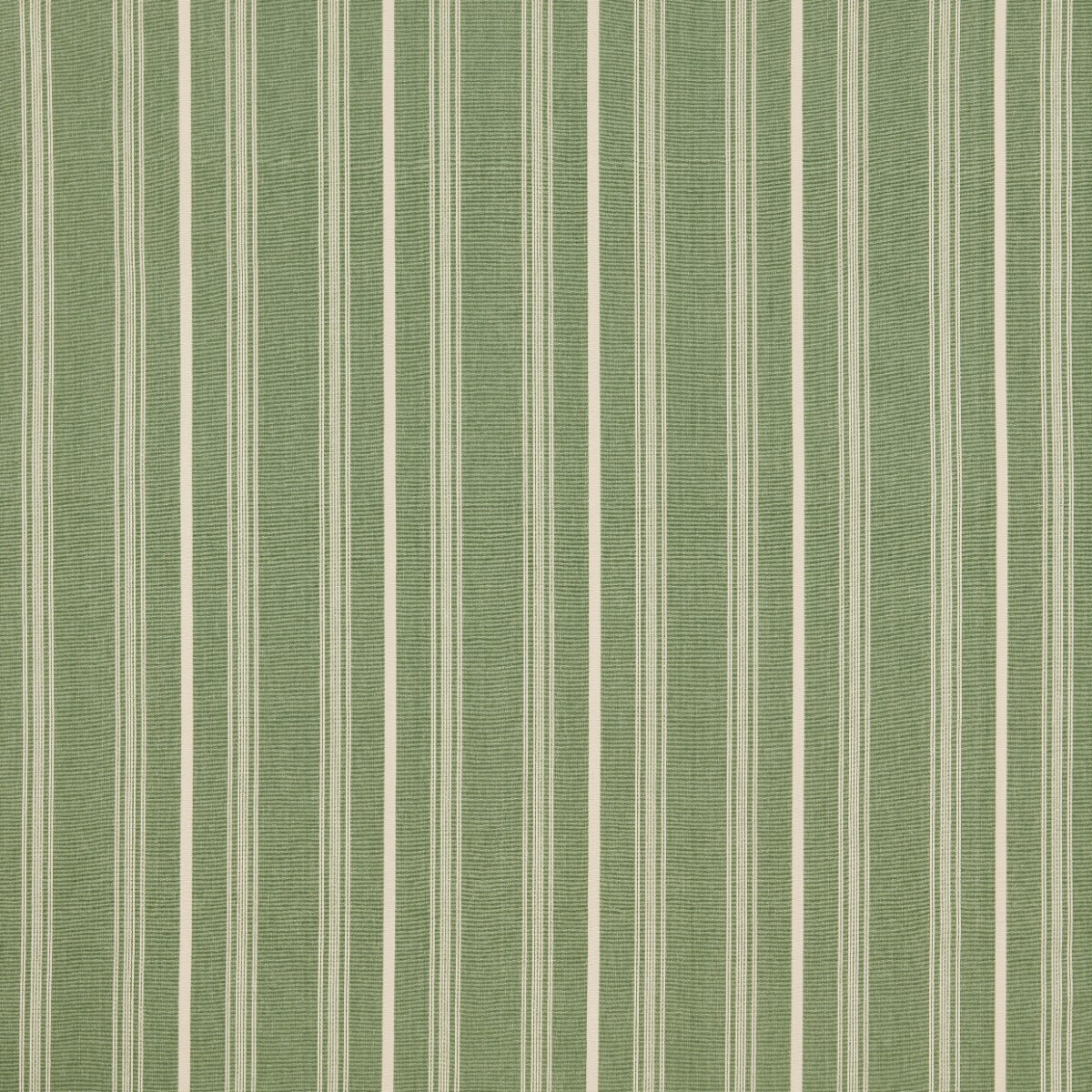 iLiv Breton Thyme