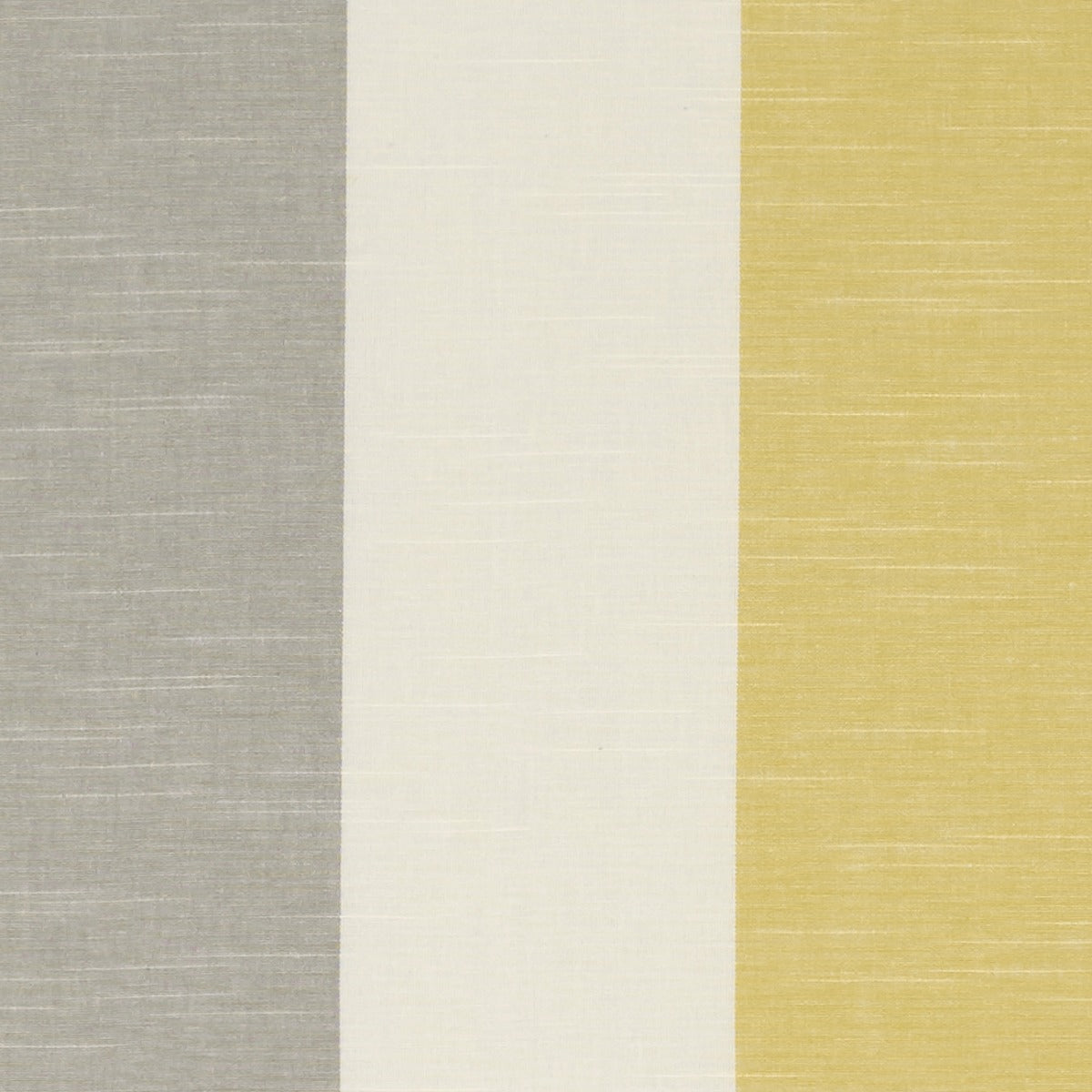 Clarke & Clarke Buckton Ochre
