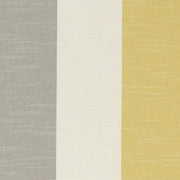 Clarke & Clarke Buckton Ochre