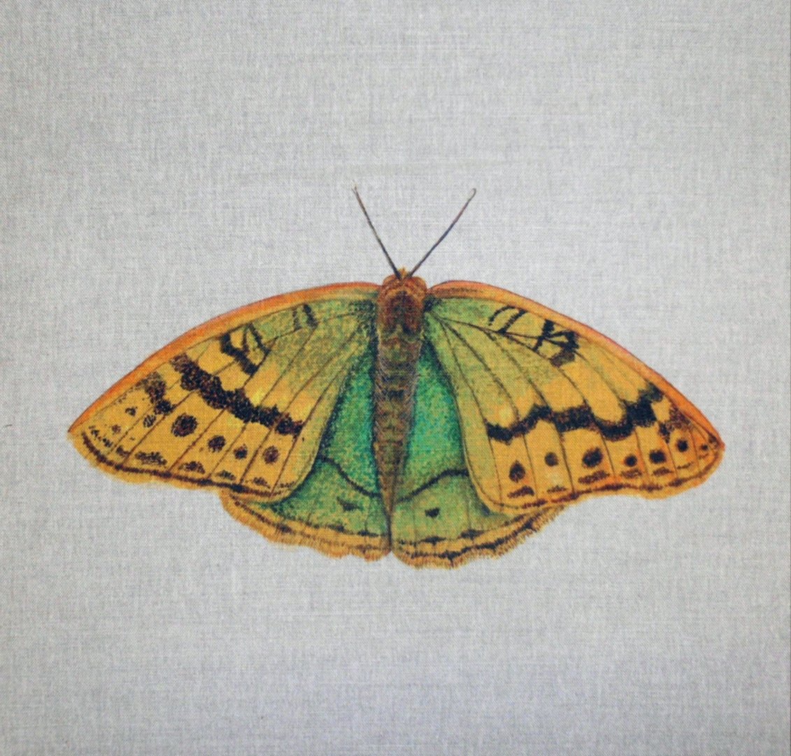 Cardinal British Butterflies Cushion Panel