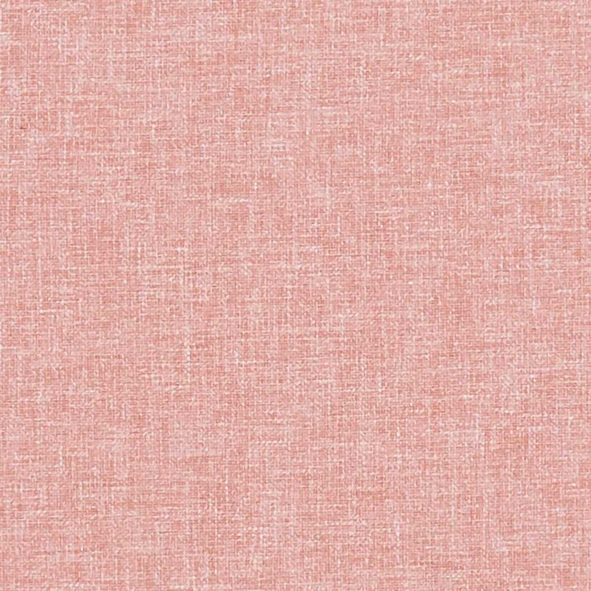 Clarke & Clarke Kelso Coral