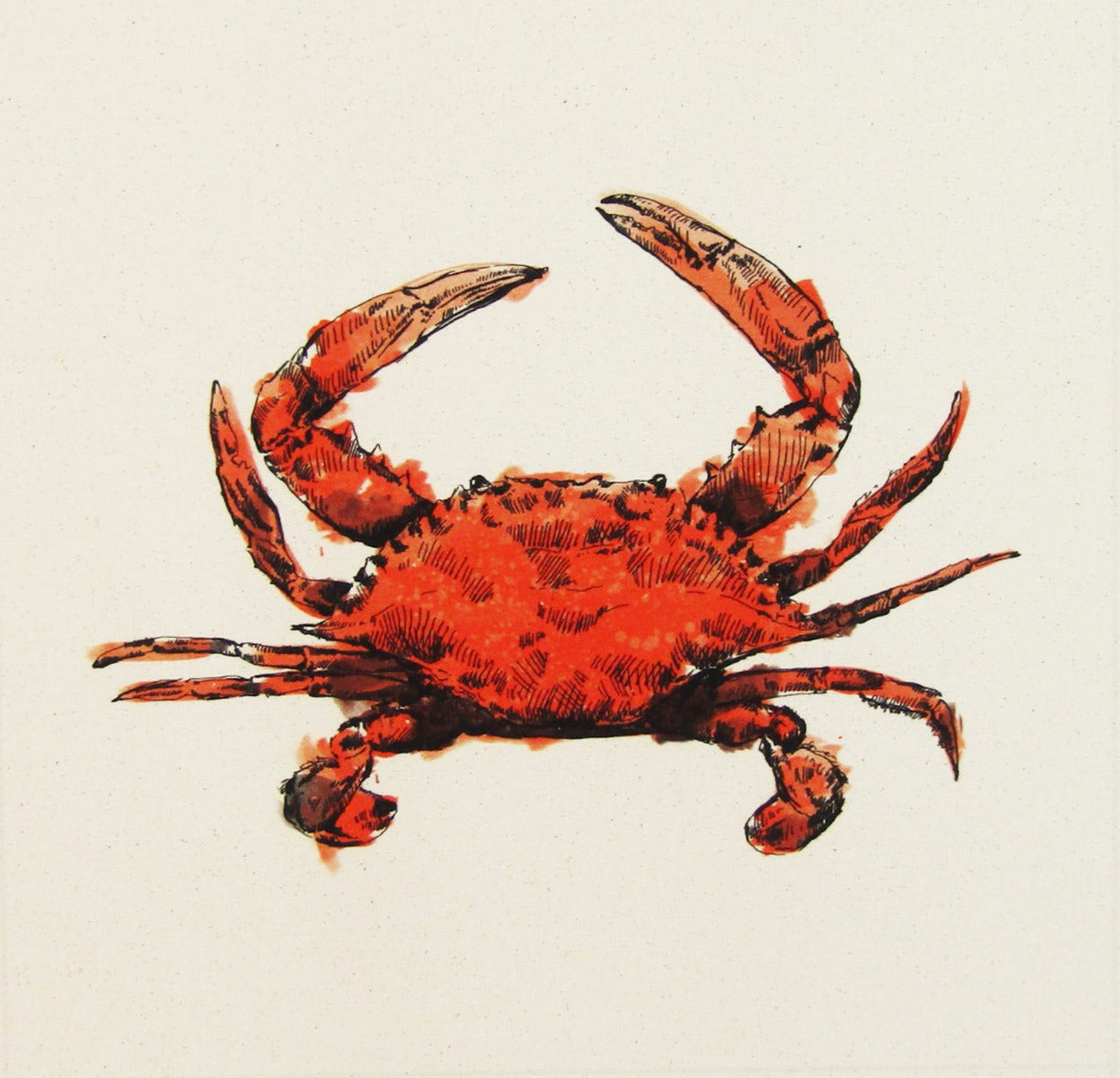 Organic Cotton Cushion Panel Sea Life Crab