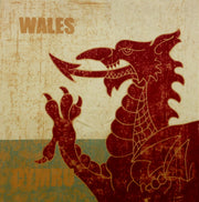 Welsh Dragon Velvet Cushion Panel