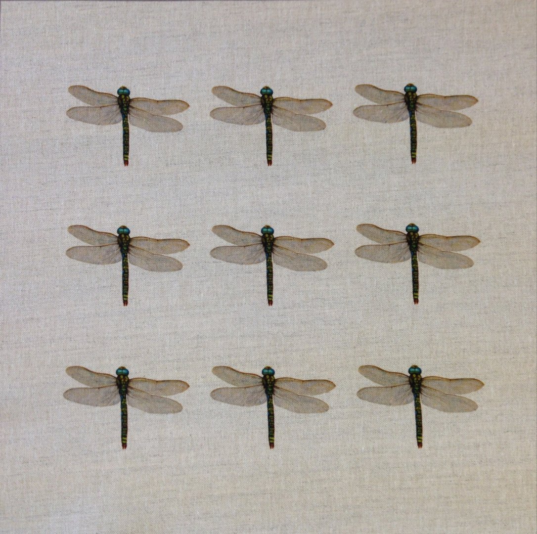 Dragonfly Collector Cushion Panel