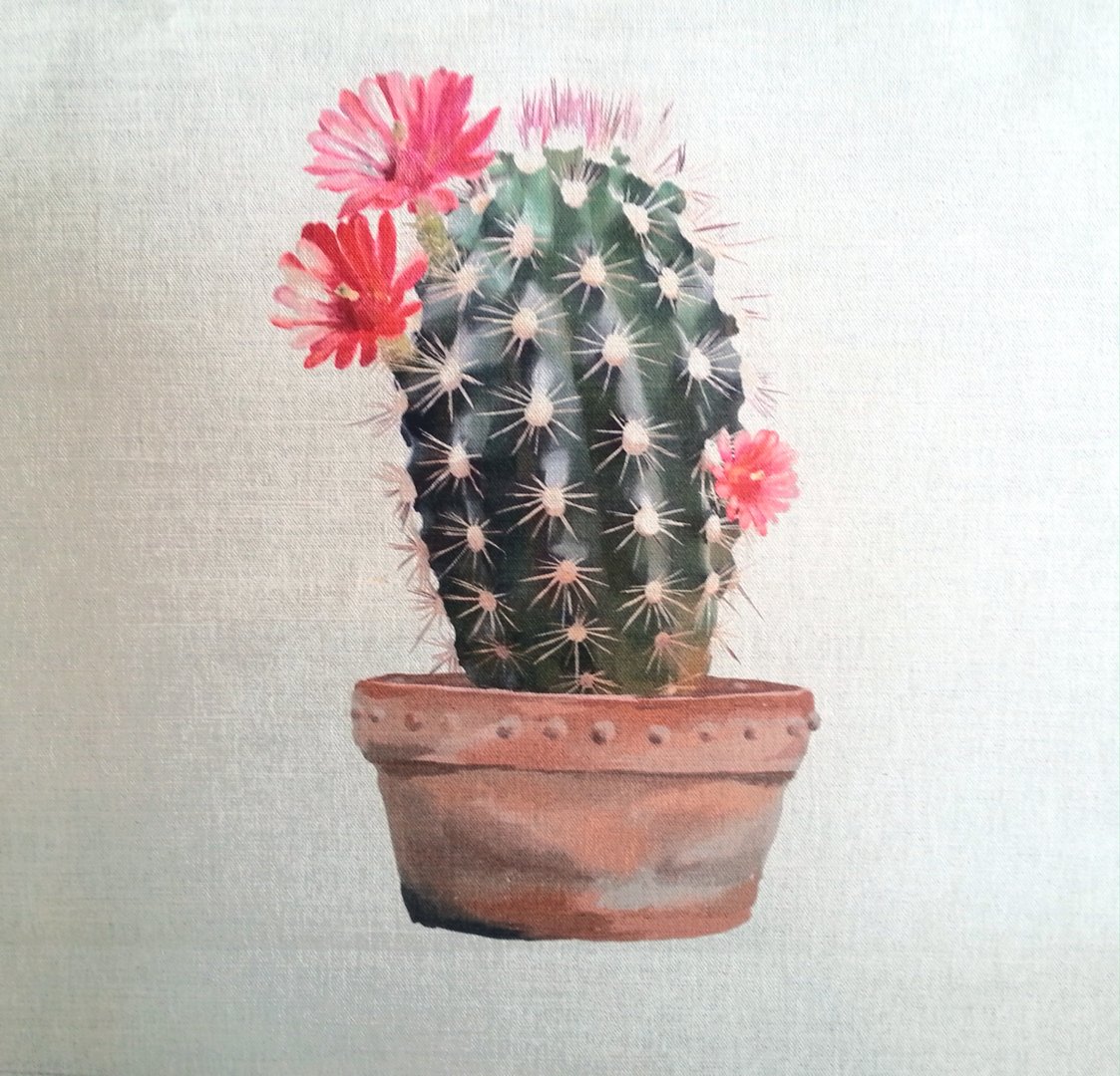 Echinocereus Cactus Cushion Panel