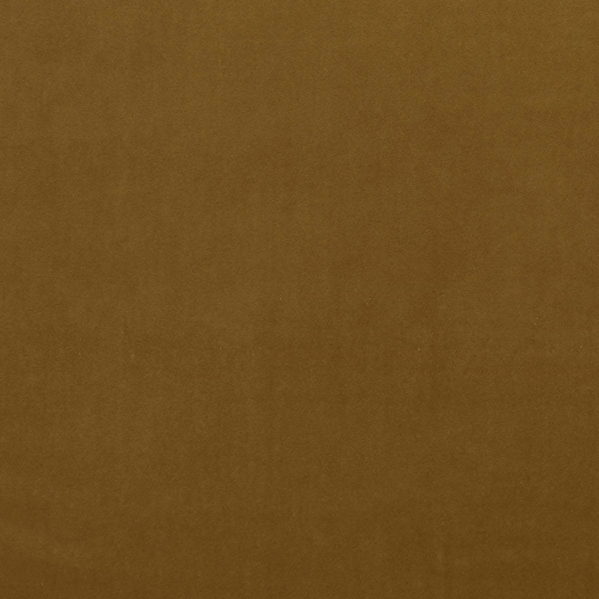 Clarke & Clarke Alvar Turmeric