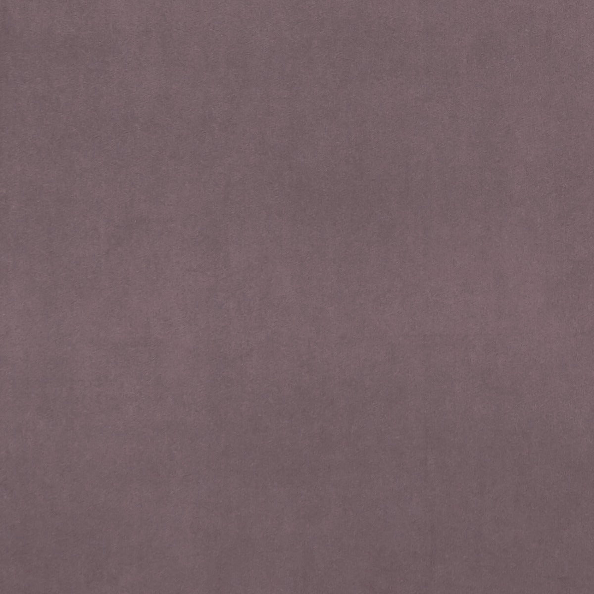Clarke & Clarke Alvar Amethyst