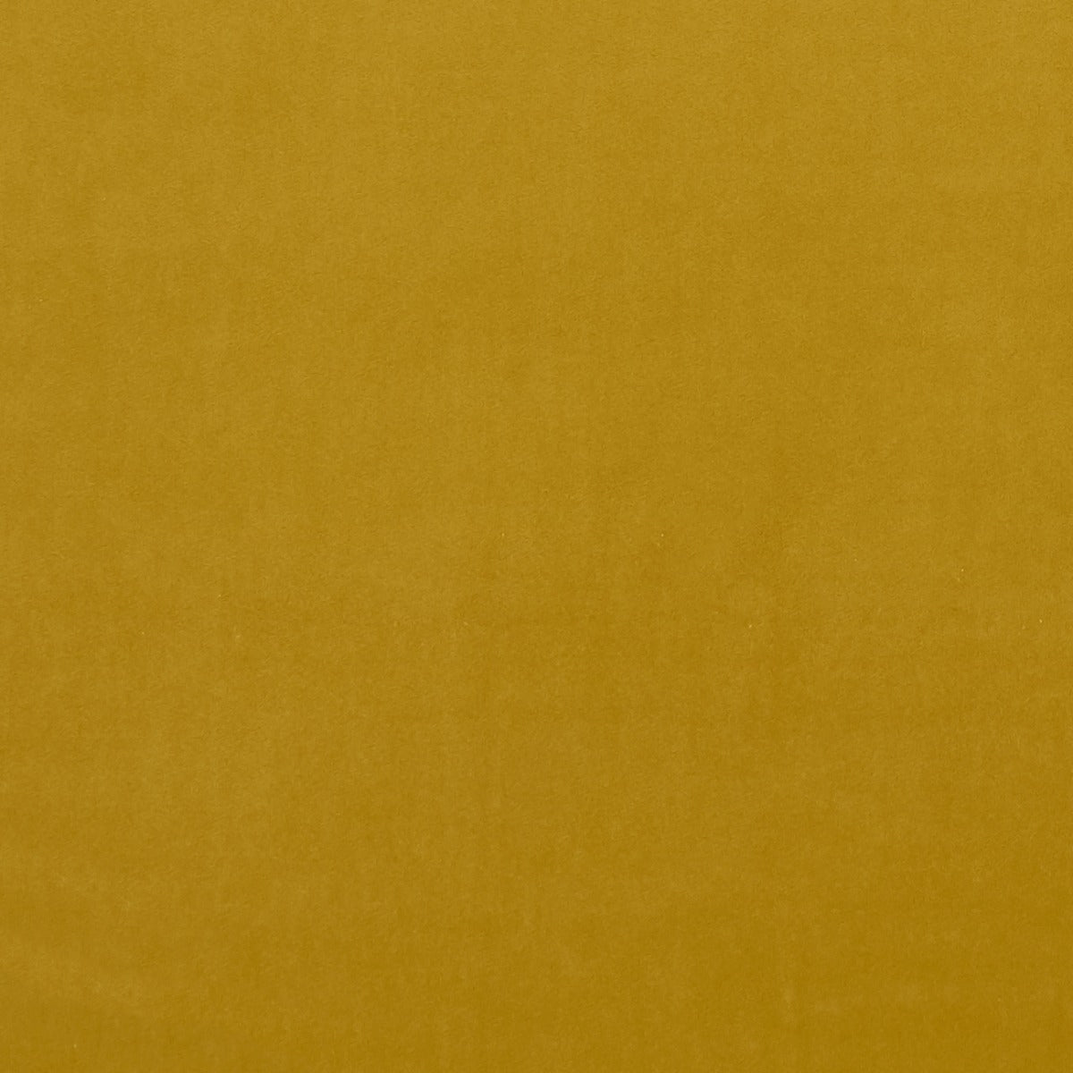 Clarke & Clarke Alvar Honey